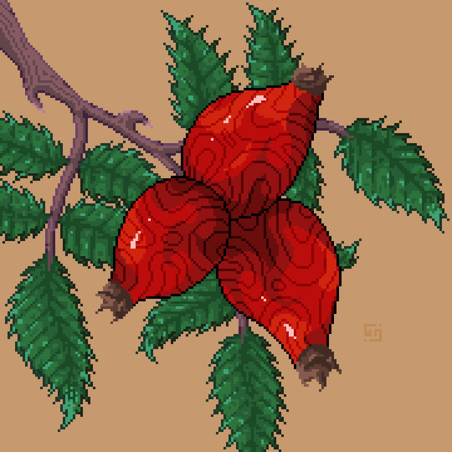 Study of a rosehip fruits — 2025, 180x180px